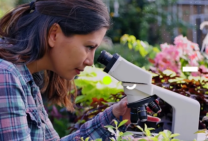 Eco Latinoamérica | Hierbas buenas: uso de plantas medicinales