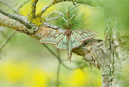 Natura Bizia | Itsasertza: bi munduren arteko muga