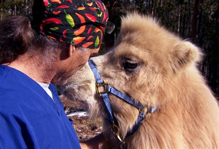 Dr. Jeff, veterinario | El perro que se ganó el corazón de Jeff