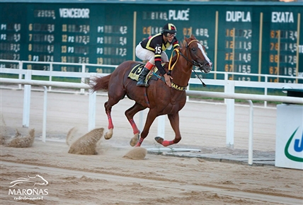Hipódromo Nacional de Maroñas