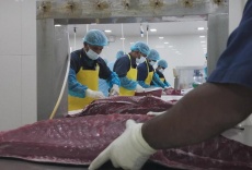 La fiebre del Sushi - Un estilo de vida con lado oscuro