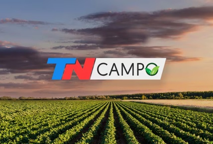TN Campo