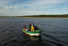 Pescadores contra focas