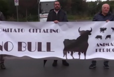 Las vacas sagradas de la mafia