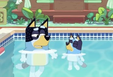 Bluey: compilaciones