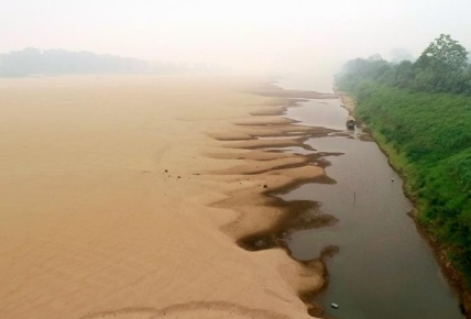 La Amazonia amenazada - Por qué el pulmón verde se está muriendo | Por qué el pulmón verde se está muriendo
