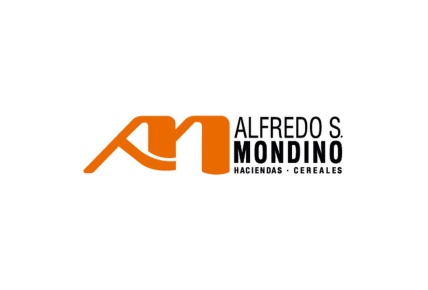 Alfredo S. Mondino - Especial CIA de hacienda | Especial CIA de hacienda