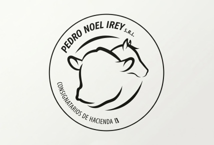 Pedro Noel Irey - Especial Expo Angus de primavera - Invernada y cría | Invernada y cría