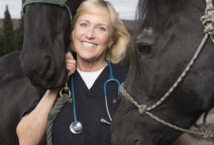 Dra. Dee: veterinaria de Alaska | Cirugía en la lavandería
