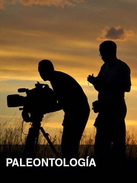 Paleontología