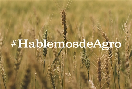 Hablemos de agro