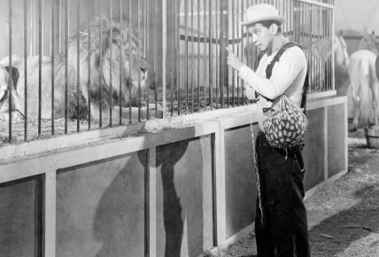 El circo