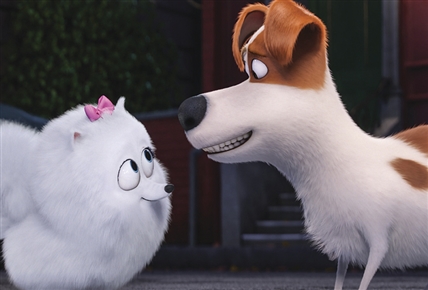 La vida secreta de tus mascotas