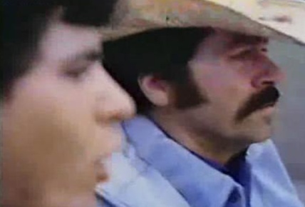 Siete en la mira 2: La furia de la venganza