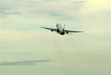 Alerta aeropuerto | Carne de exportación