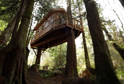 Mansiones en los árboles | Casa del árbol de Utopía
