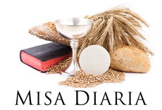 Misa diaria