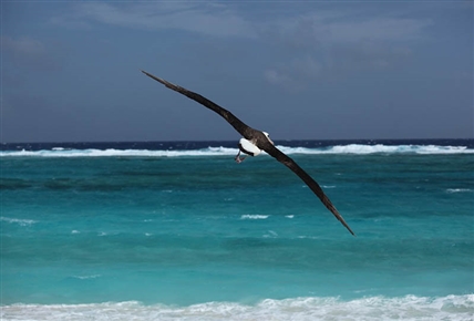 Hawái desconocido