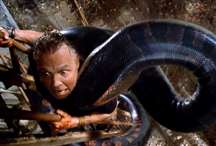 Anaconda