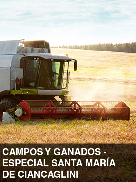Campos y Ganados - Especial Santa María de Ciancaglini | Especial Santa María de Ciancaglini