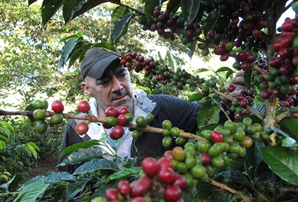 La peligrosa ruta del café | Papúa Nueva Guinea