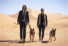 John Wick: Cap&iacute;tulo 3 - Parabellum