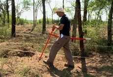 El color que cayó del Cielo