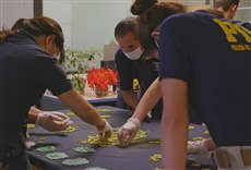 &iexcl;Alto! Frontera - Chile