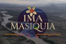 Ima masiquia