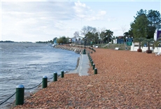 Vivi Corrientes