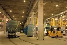 Tu tren