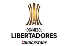 El show de la Copa Libertadores