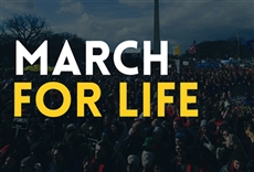 Marcha por la Vida