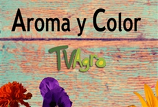 Aroma y color