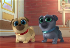 Puppy Dog Pals