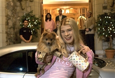 &iquest;Y d&oacute;nde est&aacute;n las rubias?