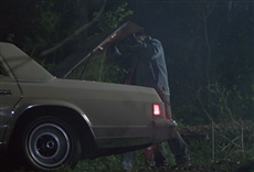 Secretos del pantano