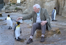 Las curiosidades naturales de David Attenborough
