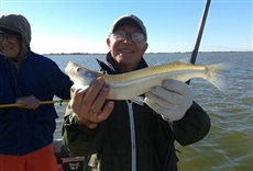 Del pescador TV